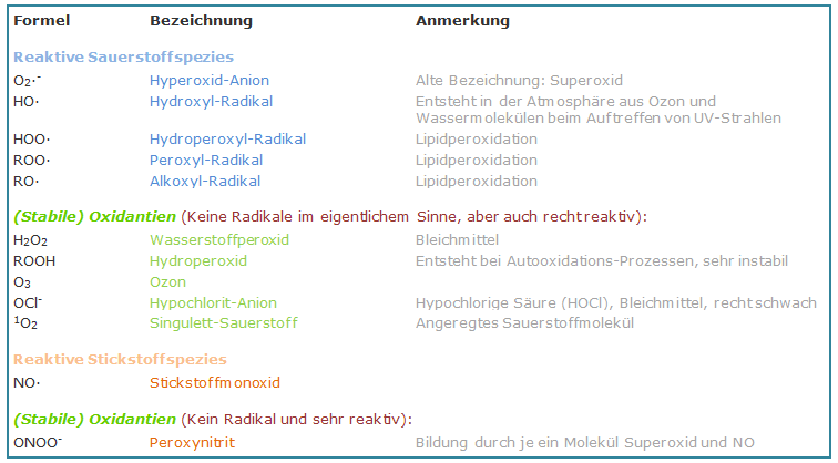 Übersicht der häufigsten Freien Radikale