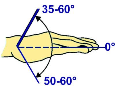 Neutral-Null-Methode Handgelenk: Dorsalextension / Palmarflexion